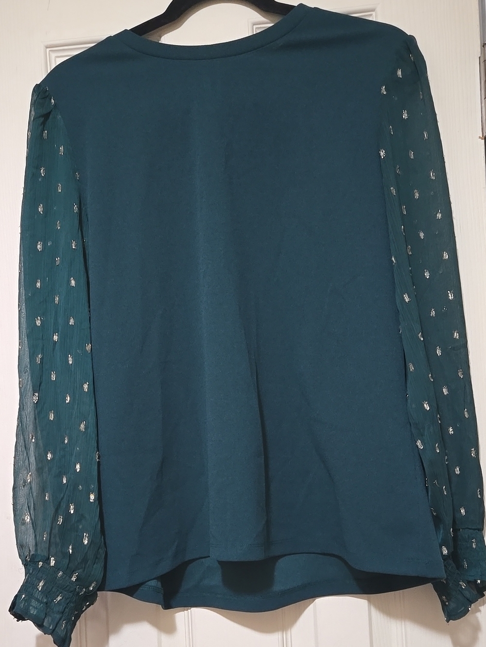 Ann Taylor Teal Blouse with Metallic Dot Sheer Sleeves